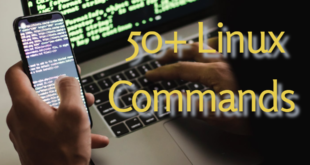 Mastering Linux: 50+ Essential Commands for Efficient Work.