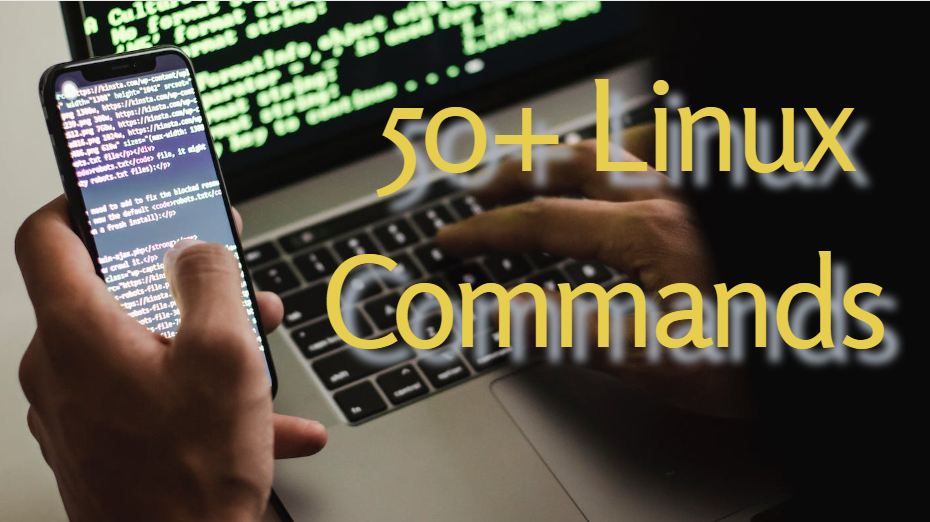Mastering Linux: 50+ Essential Commands for Efficient Work.