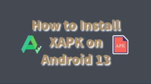 Smartphone with XAPK installation screen