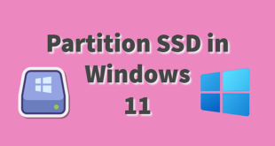 Windows 11 Disk Management Tool